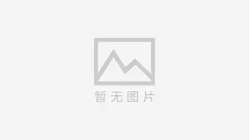 阿拉善女士的寻人之旅：一个真实的故事